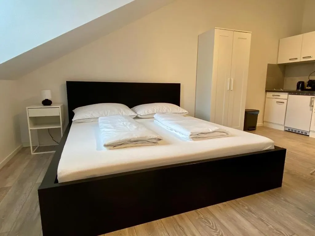 Central Apartment In Vienna Near Metro